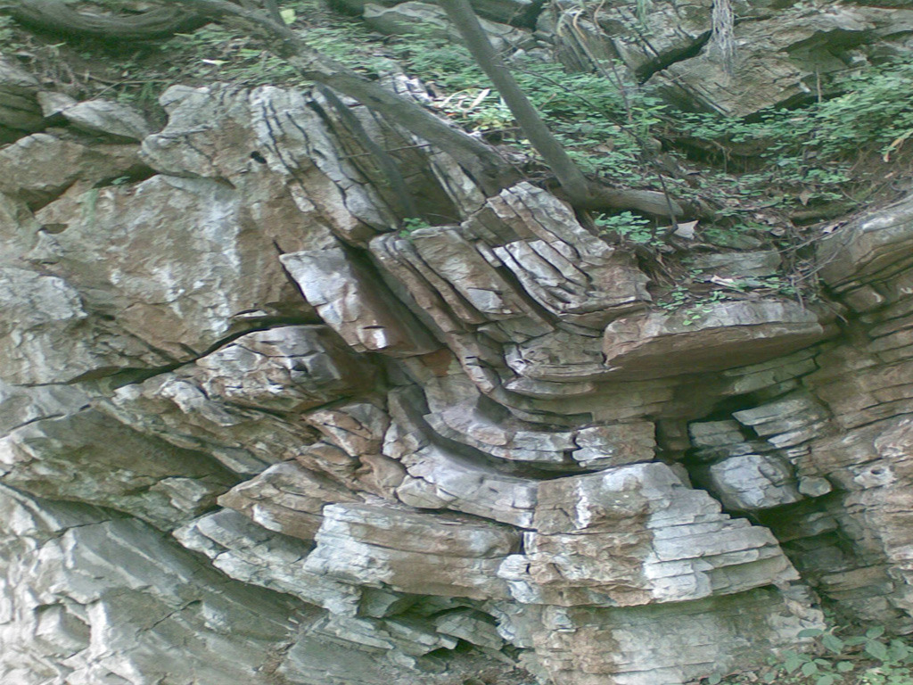 �������